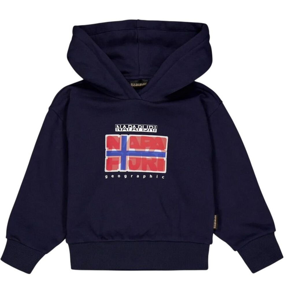 Napapijri Childrens/Kids Sella Flag Hoodie / Marine Blue